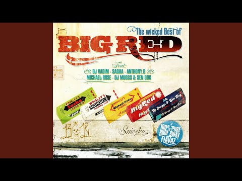 Jazz Liberatorz (Bonus Track) Feat. Birdy Nam Nam, Dj Damage