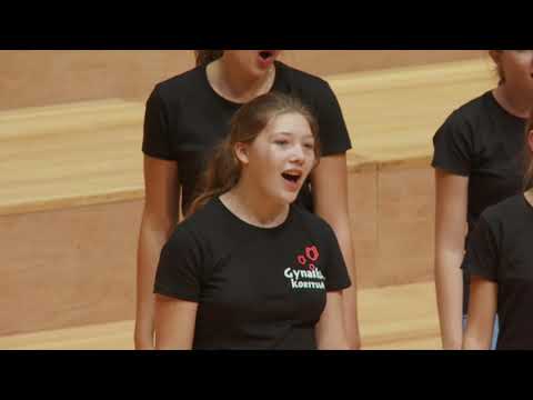 beVOICEd 2019 - concertdeel 2