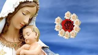 Rosario del SÁBADO | Misterios GOZOSOS | Wilson Tamayo