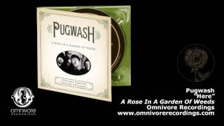 Pugwash   Here