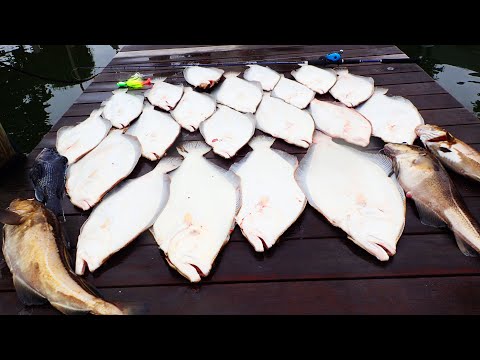 Best Fishing in Years! Big Tasty Fish on Jigs and Gulp!