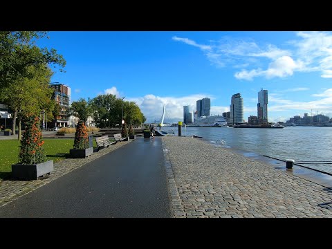 Walking in Rotterdam | Scheepsvaartkwartier - Stadsdriehoek ⛅🌧️ | The Netherlands - 4K60