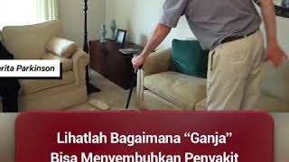 Download lagu Ganja bukan narkoba #ganja #narkoba mp3 Download lagu Ganja bukan narkoba #ganja #narkoba mp3