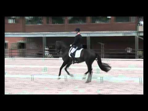 I.P.S BON BRAVOUR (Schilde, 2011)