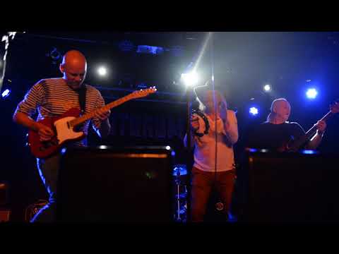 ŽLUTEJ PES - Pro maličkou parádu