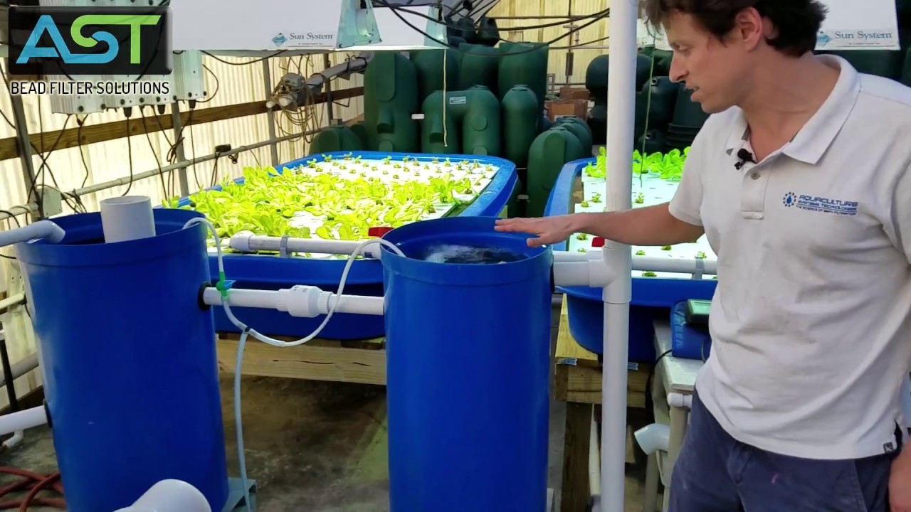 Decoupled Aquaponics Garden System Kit (800 Gallons) Grow Produce and Fish without water pumps!