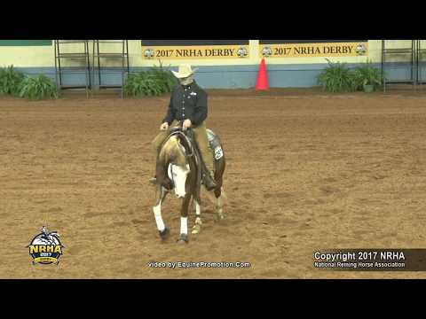 Snipers Smoking Gun ridden by James N (Trey) Pool III  - 2017 NRHA Derby (Open Derby Finals, Sec. 1)