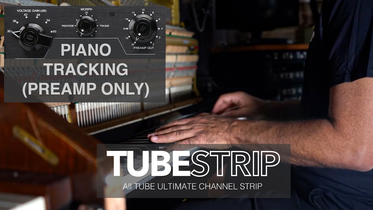 Heritage Audio - TUBESTRIP - Piano Tracking Preamp Only (NO TALK)
