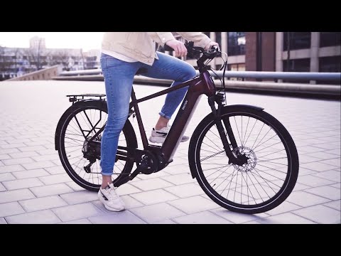 BESV TR 1.1 - Designed for Long-distance Travel and Pavement-based Adventuring