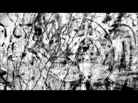 AdeAntisankari - Antisankari