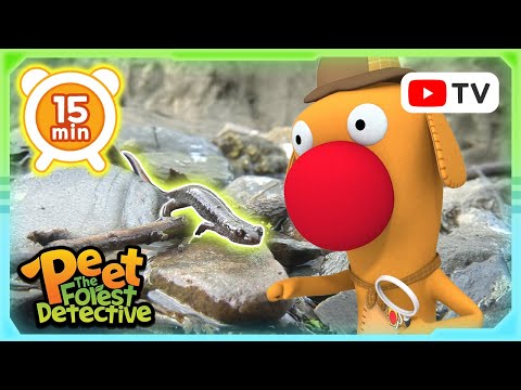Epic Salamander Adventure 🦎🌲 | Nature Stories For Kids | Peet The Forest Detective