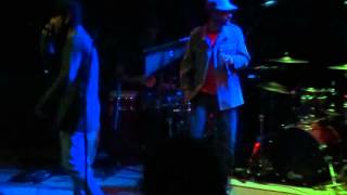 Fusion Square Garden - Mini Droge