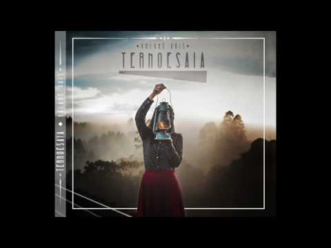 Matemática - Terno e Saia