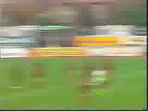 Cittadella - Padova 2003-2004