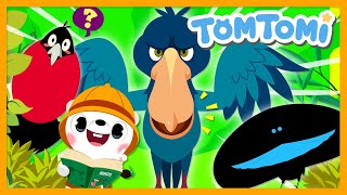 Thumbnail