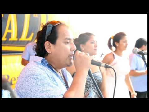 INTERNACIONAL MATICES - MIX CLAVELES 2