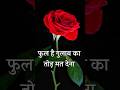 फुल है गुलाब का तोड़ मत देना Gulab Romantic Shayari Love
