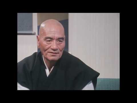 Interview from zen master Taisen Deshimaru Roshi