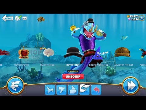 Quickest time to earn 20,000 coins Live Contest - Hungry Shark World