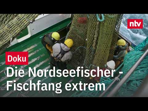 Die Nordseefischer - Fischfang extrem