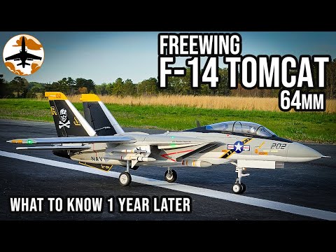 It's Not Bad, but You... Might Be - Freewing F-14 64mm 1 Year Review