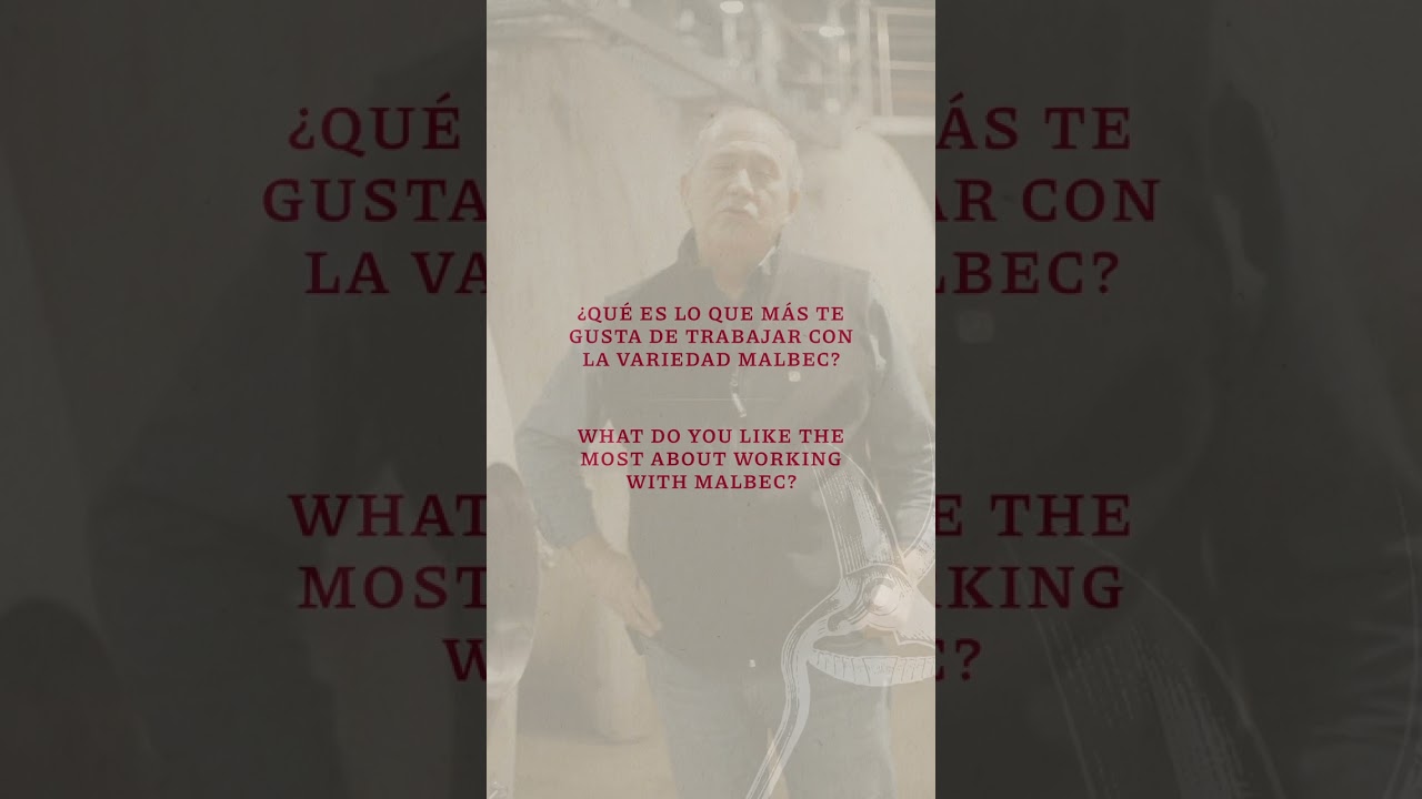 ¿Qué características tiene el Malbec?, por Susana Balbo
