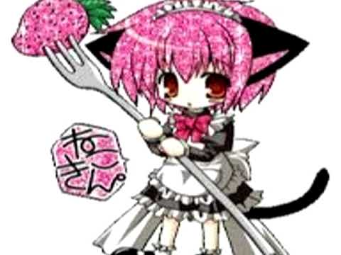 CANCANWORLD- makkeroni