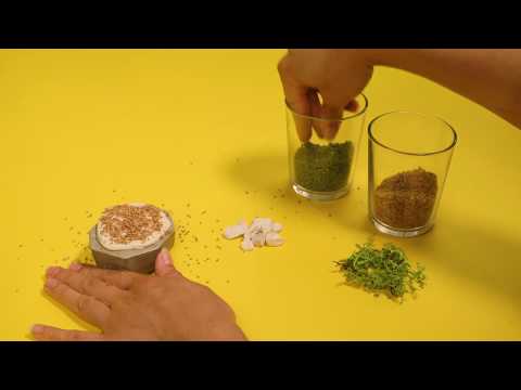 How to Design & Make a Terrarium with the Mayku FormBox - Mayku Teach (STEM Education Resource)