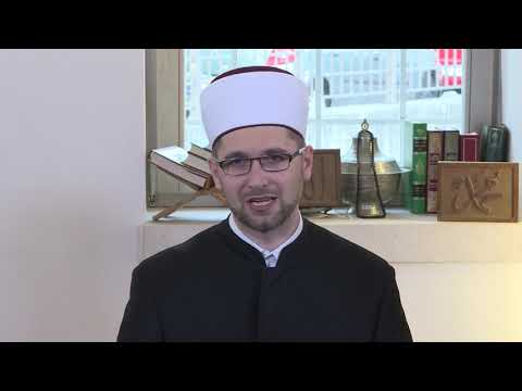 Poslanikovo naslijeđe (27) - mr. Sejid-ef. Strika