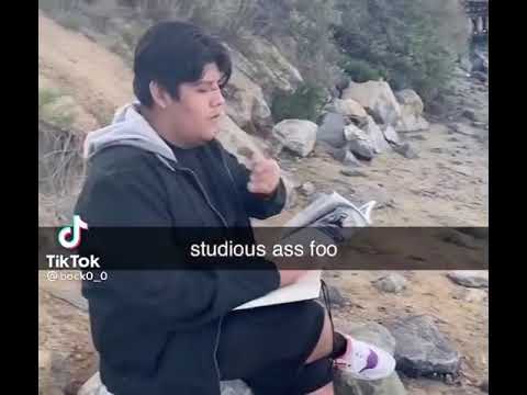 Studious Foo