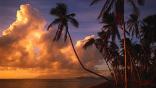 Ryukyu Underground - Seragaki (Junkie XL Remix)