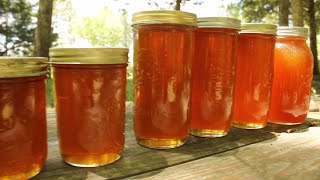 Harvesting DELICIOUS Raw, Organic Honey!