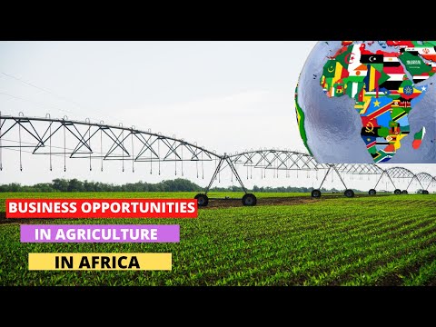 , title : 'Business Opportunities in Agriculture that will create more Millionaire in Africa