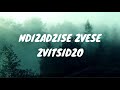 Nyasha David - Ndoda I Do (lyric Video)
