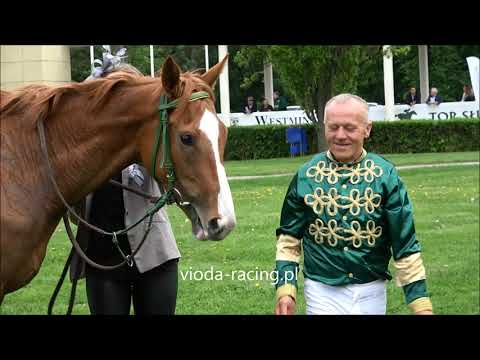 Gon. IV (Westminster Wiosenna) - 14.05.2022 - Jenny of Success (Rio de la Plata - Secret of Success)