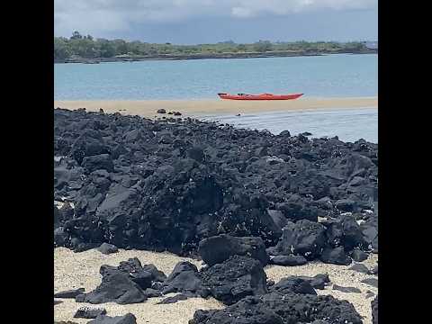 View from Rangitoto island #seakayaking #kayaktrip #island #newzealand