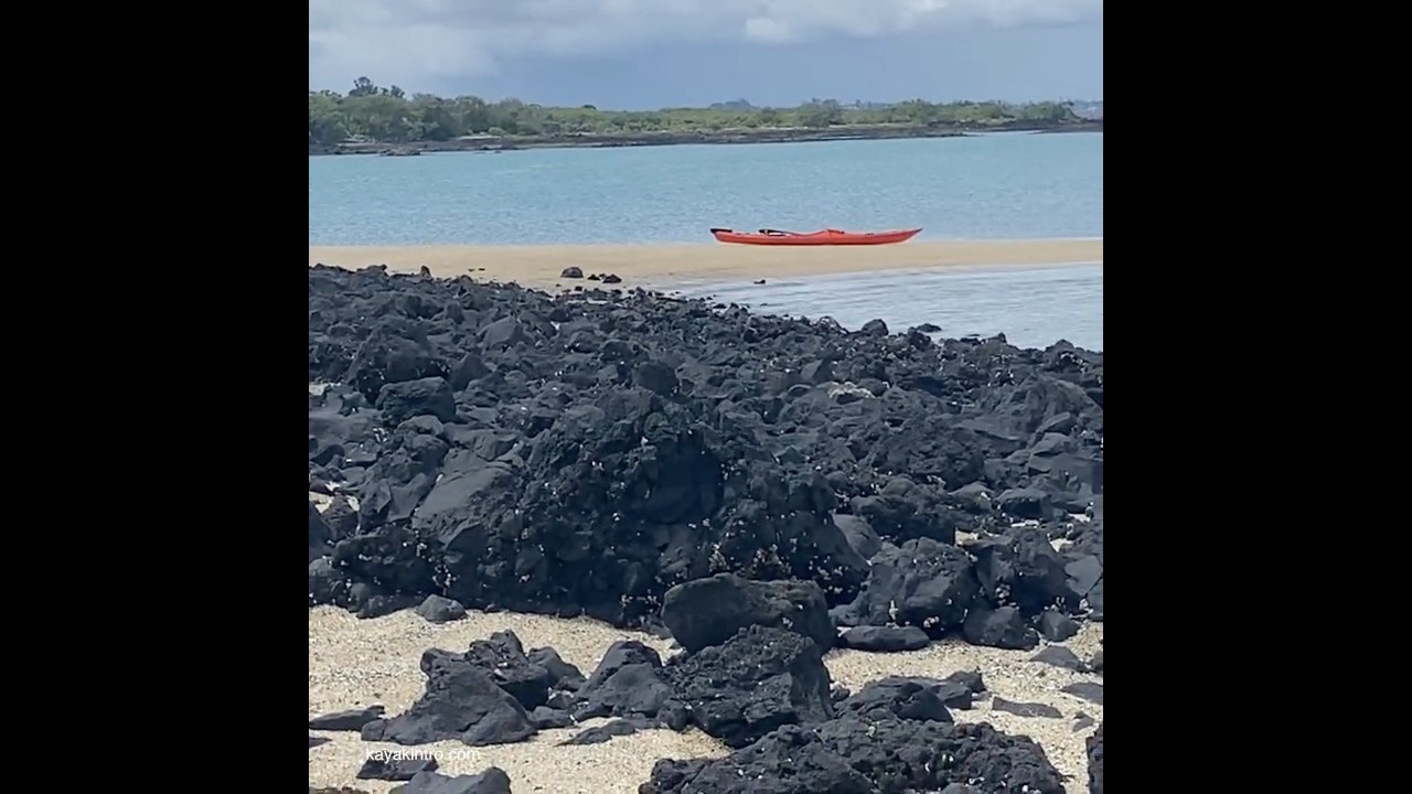 View from Rangitoto island #seakayaking #kayaktrip #island #newzealand