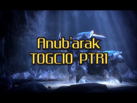 Anub'arak TOGC 10 Wotlk PTR 1 Holy priest Raidlead POV