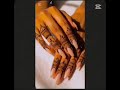 Noor2 0 B9oFingers Mehendi Designs Mehindikedesign Stylishmehndi Design