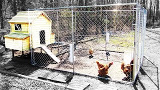 The BEST CHICKEN COOP For Backyard Chickens! 🐔