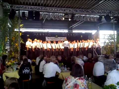 MGV Wimsheim in Wurmberg 2011