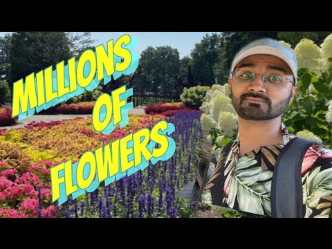 Flowers garden Columbus Ohio || daily vlogs || Pakistan American