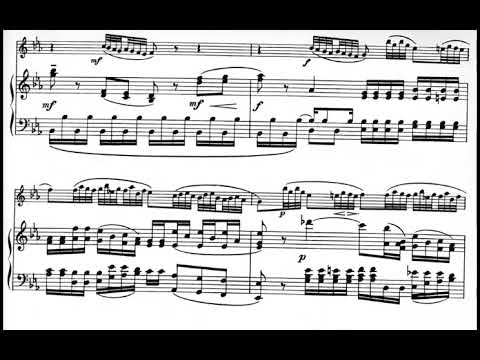 Cimarosa: Oboe Concerto in C minor _ 1st. Mov (piano accompaniment)
