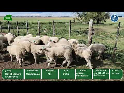Video del lote L0-000853