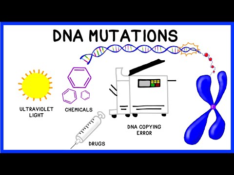 DNA Mutations