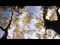 Hunting The Hidden Dimension NOVA 11