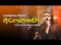 Anganawo Voice Of Nadeemal Perera