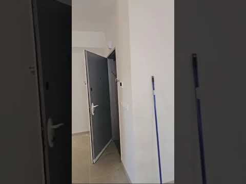 תמונה של אילן צבעי