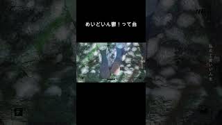 めいどいん鬱！って曲！　#ボカロ #オリジナル曲