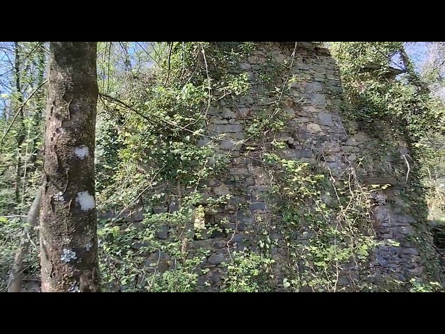 ROCCHETTA DI LERICI - RUSTICO CON 15.000 MQ TERRENO